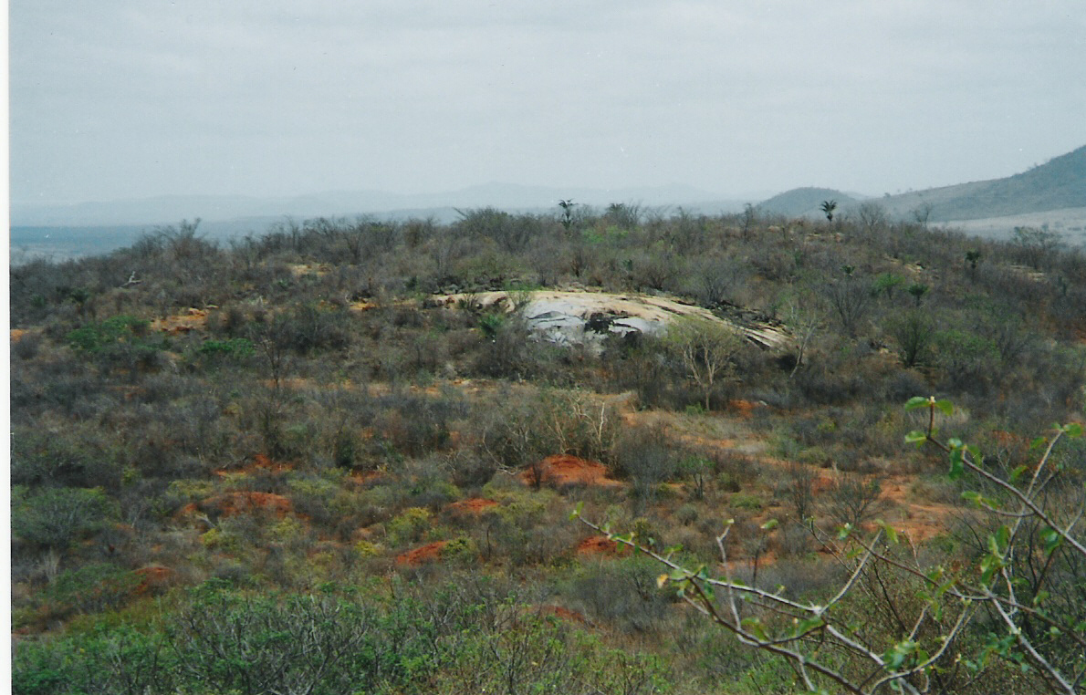 Pé de Serra, Maracás